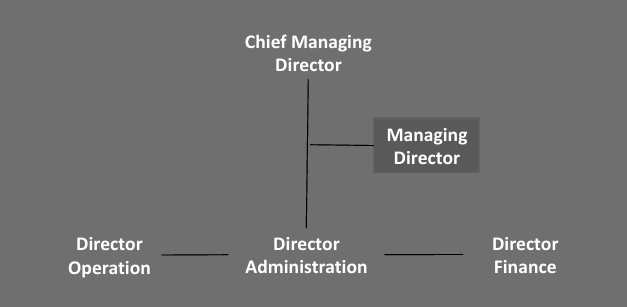 Company Structure